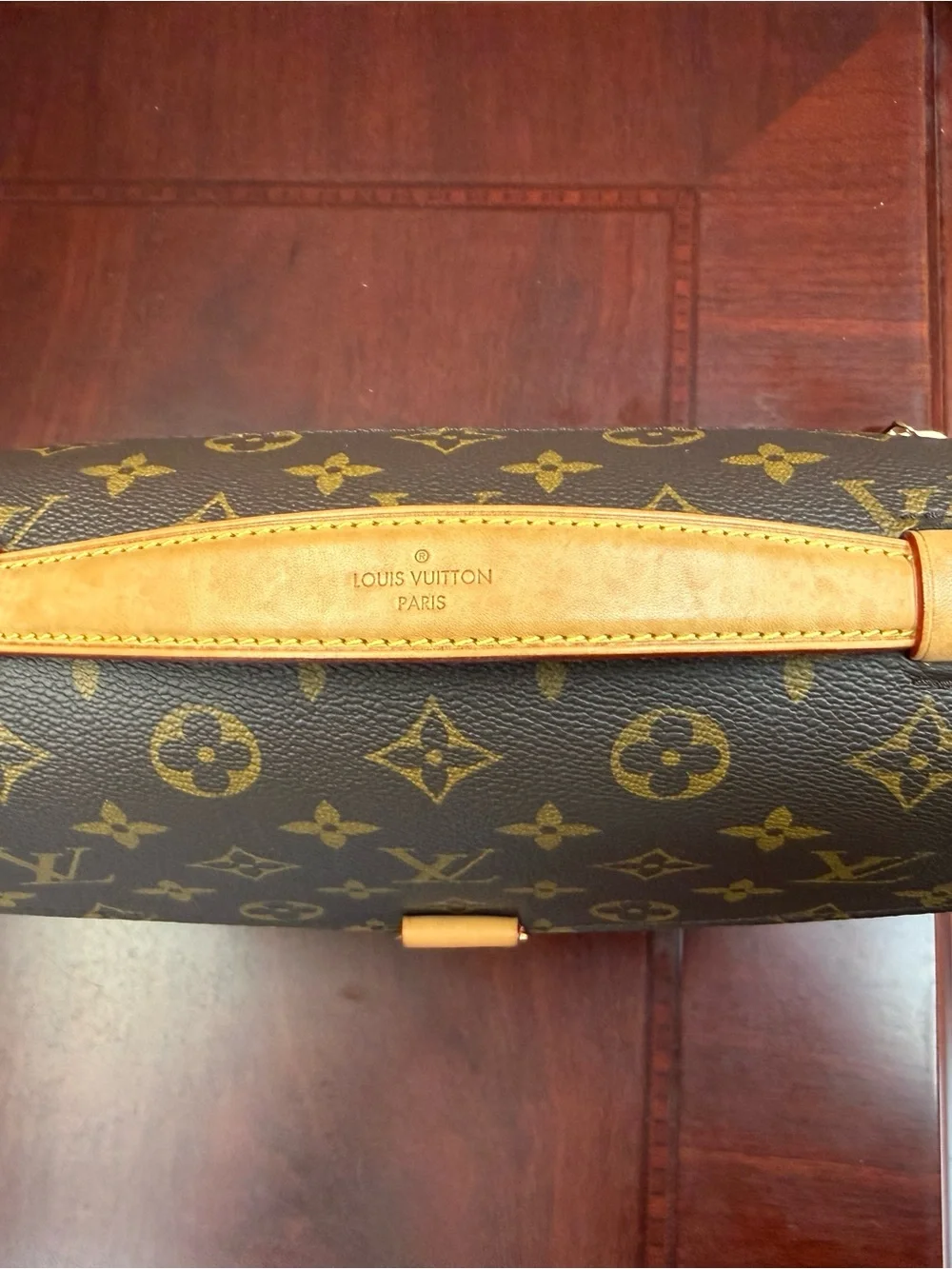 Louis Vuitton Monogram Canvas Satchel in Brown and Gold